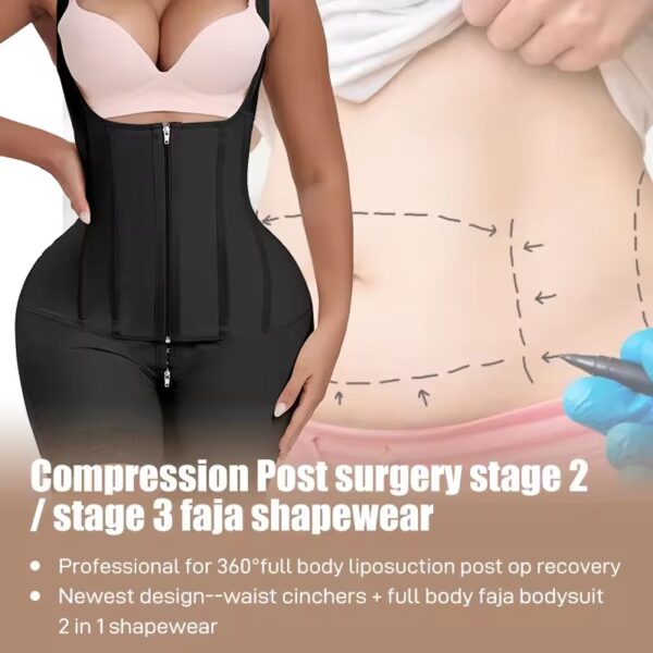 Contour Harmony Bodysuit - Image 4